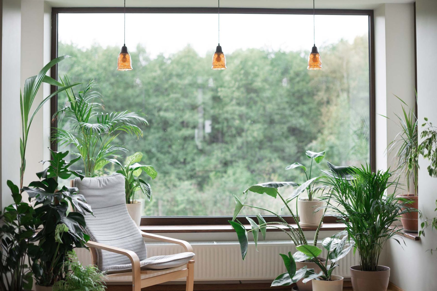 Salon Eco-friendly